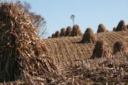 Harvesting Crops